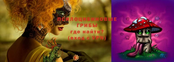 мдма Карпинск