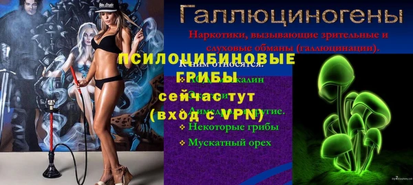 ALPHA-PVP Карталы