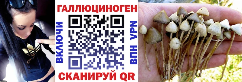Галлюциногенные грибы прущие грибы  Купить закладки  Нея 